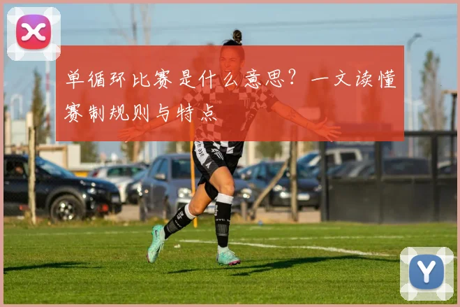 单循环比赛是什么意思?一文读懂赛制规则与特点