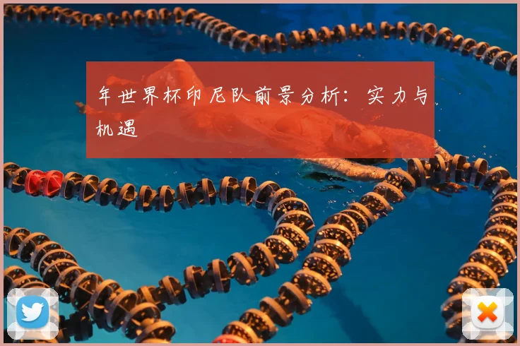 年世界杯印尼队前景分析:实力与机遇